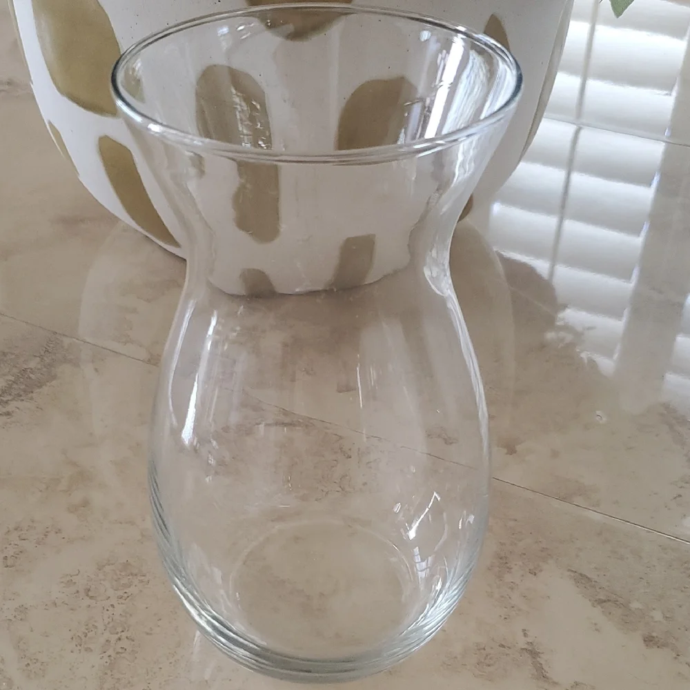 Elegant Clear Glass Vase